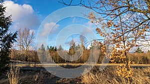 Winter Colors in the Field and Forest