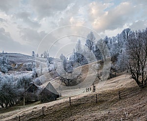 Winter coming. Cloudy and foggy morning very late autumn mountains scene. Peaceful picturesque traveling, seasonal, nature and