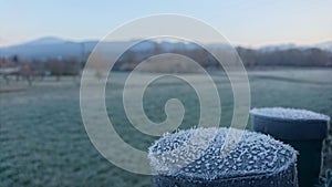 Winter is coming. Frost meadow photo