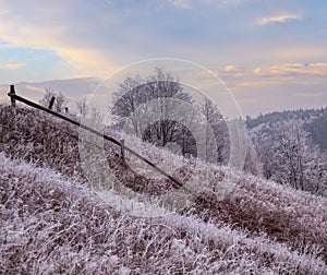 Winter coming. Picturesque foggy and moody pre sunrise scene in late autumn mountain countryside with hoarfrost on grasses, trees