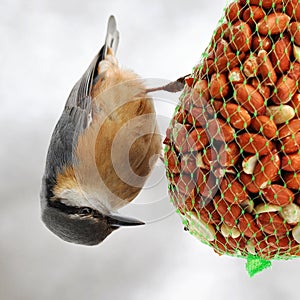 Winter is coming soon