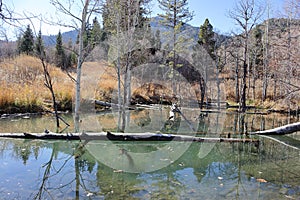 Winter is coming in Utah !