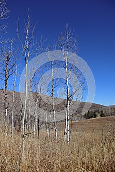 Winter is coming in Utah !