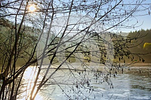 Winter is comming: Afternoon sun over small frozen lake in Hessen Germany photo