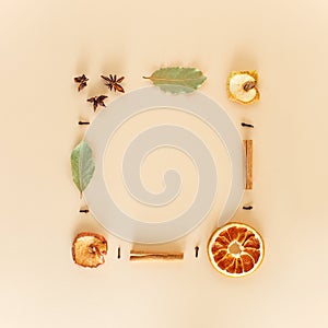 Winter composition of dried fruits and spices with the scent of Christmas holidays. Minimal frame flat lay. Space for