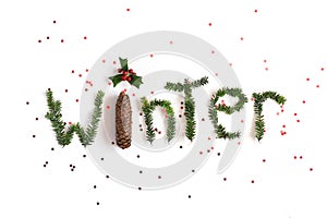 Winter composition. Word Winter made of different winter plants on white background. Flat lay, top view.