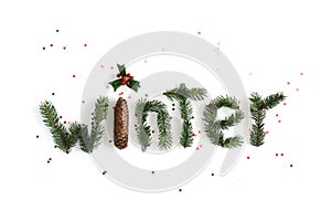 Winter composition. Word Winter made of different winter plants on white background. Flat lay, top view.