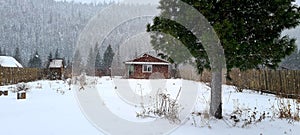 A winter contryside house. snowfall at village photo