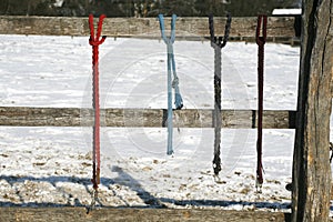 Winter corral fenced with equestrian equipment