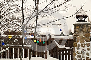 Winter cottage garden in snow with Christmas decoration.