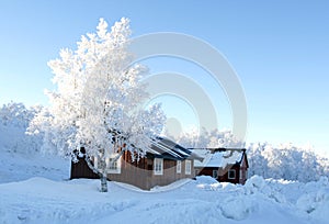 Winter cottages