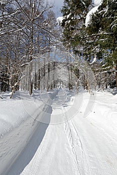 Winter Country Road