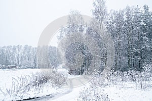 Winter at countryside with forests