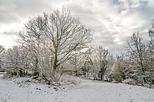 Winter Countryside Scenery After Snowfall