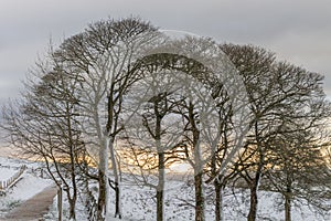 Winter countryside in snow at Tegg`s Nose Country Park, Macclesfield, UK