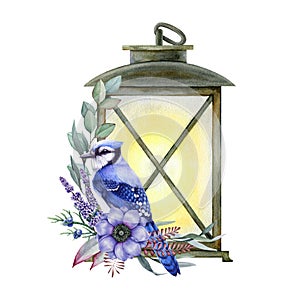 Winter cozy floral decor with blue jay bird and vintage lamp. Watercolor illustration. Blue jay with vintage lantern