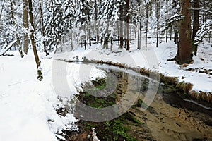 Winter creek of Bohemian Switzerland