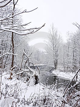 Winter creek covered in white snow background image