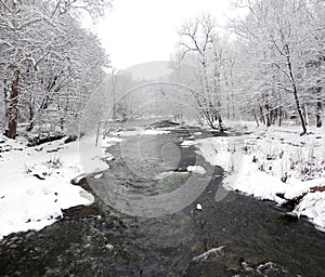 Winter creek covered in fresh snow landscape