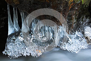 Winter creek in the national park Sumava, Czech Republic. Close-up of ice on a tree in winter. Melted icicles in the spring time