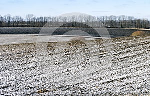 Winter crop field with tractor traces covered snow.