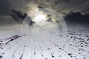 Winter crops were covered with first pure snow