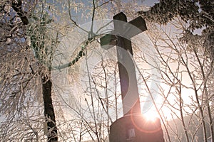 Winter Cross
