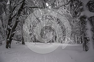 Winter in the Czech mountains