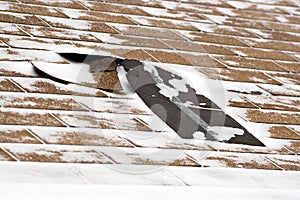 Winter Damaged Roof Shingles photo