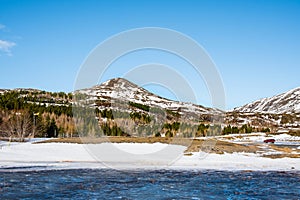 Winter day in the forestry area of Haukafell in Iceland