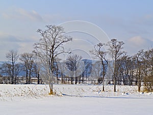 Winter day on glade at a mountain slope.