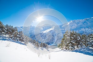 Winter day landscape in snowy mountains