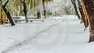 Winter day in Montanesium park