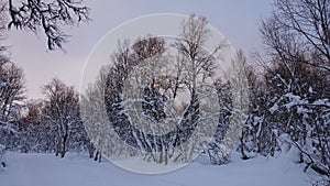 Winter day near Valan river in Are Valadalen in Jamtland in Sweden