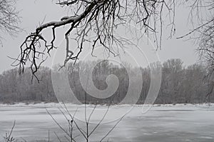 Winter day. River frozen - covered with ice and naked trees covered with white snow on there branches. Walking on nature