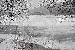 Winter day. River frozen - covered with ice and naked trees covered with white snow on there branches. Walking on nature