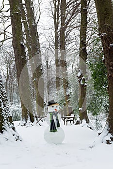 Winter day with snowman