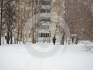 Winter day. Trees under the snow. Nature in the city. Urban environment