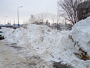 Winter day. Trees under the snow. Nature in the city. Urban environment. After a snowfall. Russian city