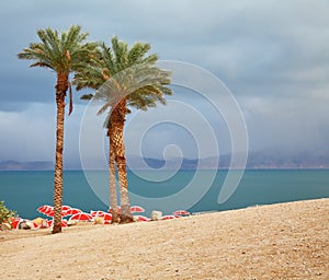 Winter on the Dead Sea