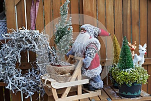 Winter decor. Beautiful flower arrangement in the store, Christmas decoration outdoors