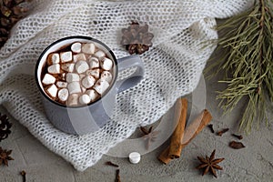 Winter decoration. Grey cup of hot cocoa or chocolate with marshmallow and cinnamon with anise star on white background. winter an