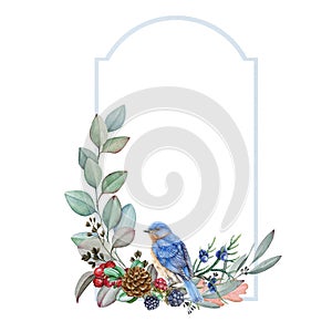 Winter decorative frame with bluebird watercolor illustration. Hand drawn eucalyptus, blackberry, juniper, pine cone and bird.