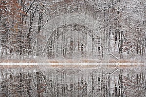 Winter, Deep Lake Reflections