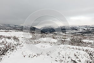 Winter Dovrefjell