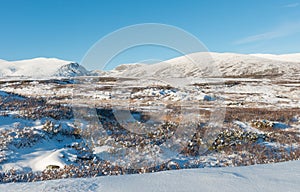 Winter Dovrefjell in Norway