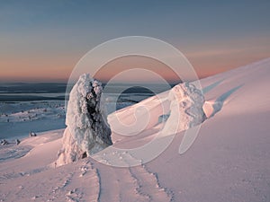 Winter dramatic minimalistic landscape at sunset. A snowdrift, trees covered with snow, a snow-covered road down a hill with a