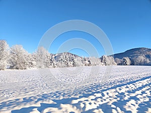 Winter dream bright snow in rural landscape under cloudless deep blue sky in morning light