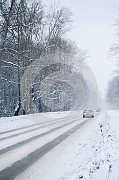 Winter drive through woods