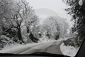 Winter driving, snow covered trees lining rural road